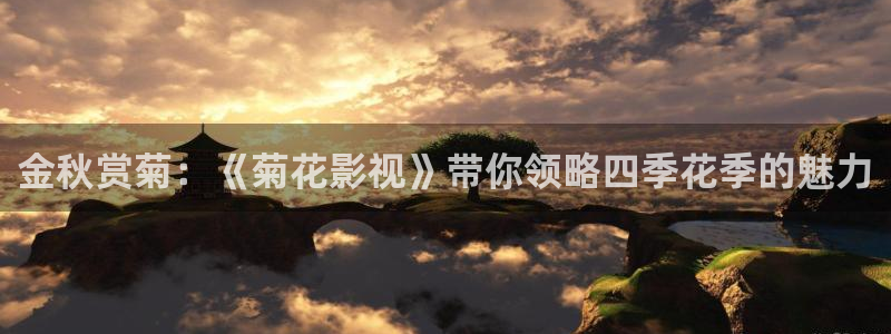 倫理影院免費觀看電影：金秋賞菊：《菊花影視》帶你領略四季花季的魅力