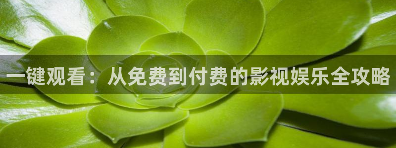 秋霞倫理影院在線：一鍵觀看：從免費到付費的影視娛樂全攻略