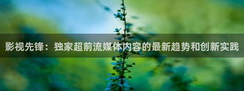 琪琪倫理影院：影視先鋒：獨家超前流媒體內(nèi)容的最新趨勢和創(chuàng)新實踐