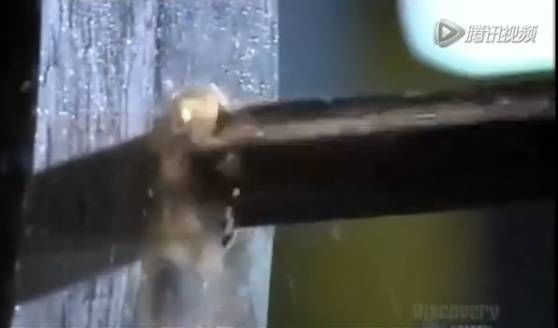 比人還大的大型閥門是怎么制造出來的？-