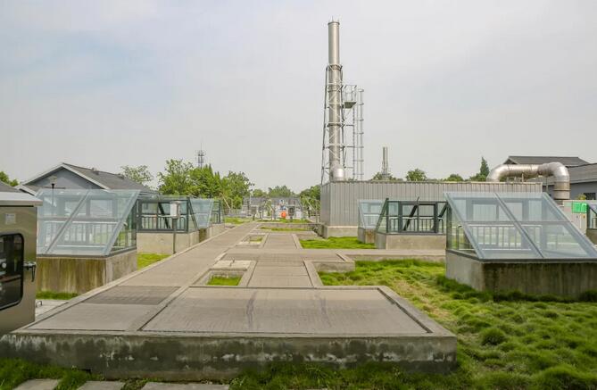 污水凈化后可養(yǎng)魚？這家污水處理廠真牛！-