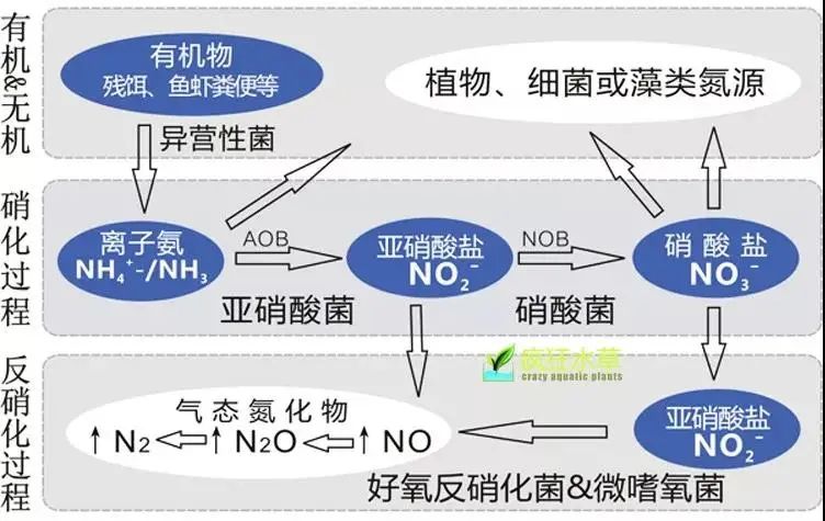面對低濃度氨氮工業廢水束手無策？這幾種方法可以解決-