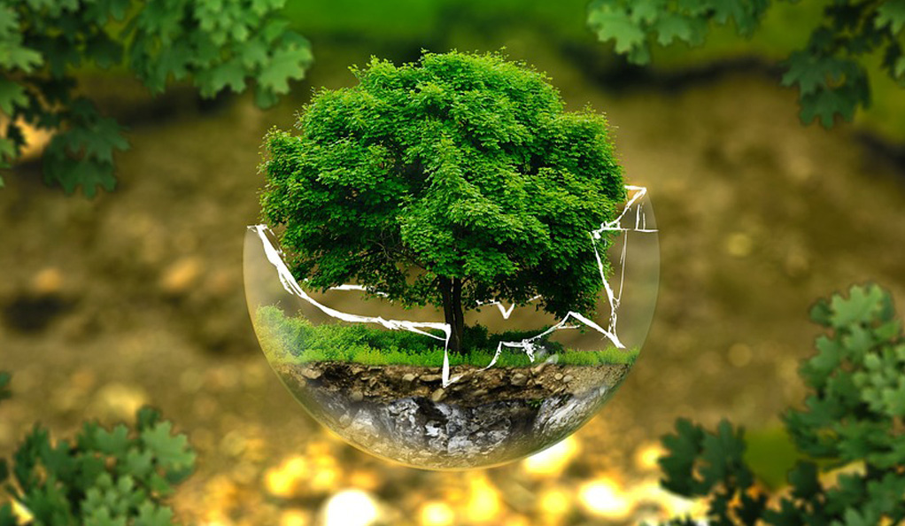 中國水環(huán)境集團(tuán)：綠色低碳技術(shù)驅(qū)動水務(wù)價值重構(gòu)